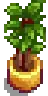House Plant 10.png