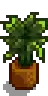 House Plant 11.png