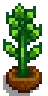House Plant 12.png