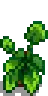 House Plant 13.png