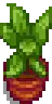 House Plant 14.png
