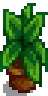 House Plant 15.png