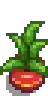 House Plant 2.png