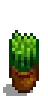 House Plant 3.png