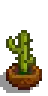 House Plant 4.png