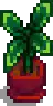 House Plant 5.png