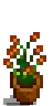 House Plant 6.png