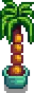 Indoor Palm.png