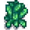 Kale Stage 5.png