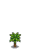 Mango Stage 2.png