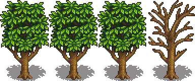 Mango Stage 5.png