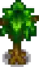 Maple Stage 4.png