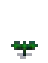 Melon Stage 2.png