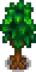 Oak Stage 4.png