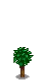 Orange Stage 2.png