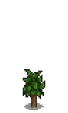 Peach Stage 2.png