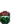 Pickles Overlay.png