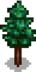 Pine Stage 4.png