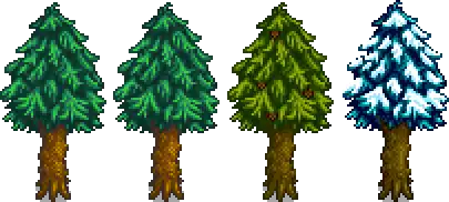 Pine Stage 5.png