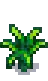 Pineapple Stage 4.png
