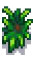 Pineapple Stage 7.png