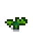 Poppy Stage 3.png
