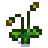 Poppy Stage 4.png