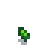 Potato Stage 2.png