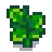Potato Stage 5.png