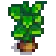 Potato Stage 6.png