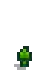Pumpkin Stage 2.png