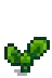 Pumpkin Stage 3.png