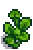 Pumpkin Stage 4.png