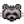Raccoon Icon.png