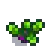 Red Cabbage Stage 3.png