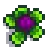 Red Cabbage Stage 4.png