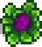 Red Cabbage Stage 5.png