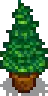 S. Pine.png