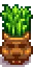 Seasonal Decor Summer.png