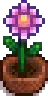 Seasonal Plant 3 Spring.png