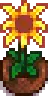 Seasonal Plant 3 Summer.png