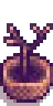 Seasonal Plant 3 Winter.png