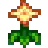 Summer Spangle.png