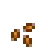 Summer Spangle Stage 1.png