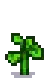 Sunflower Stage 3.png
