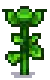 Sunflower Stage 4.png
