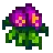 Sweet Pea.png