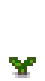 Taro Stage 1.png