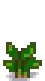 Taro Stage 2.png