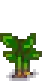 Taro Stage 3.png